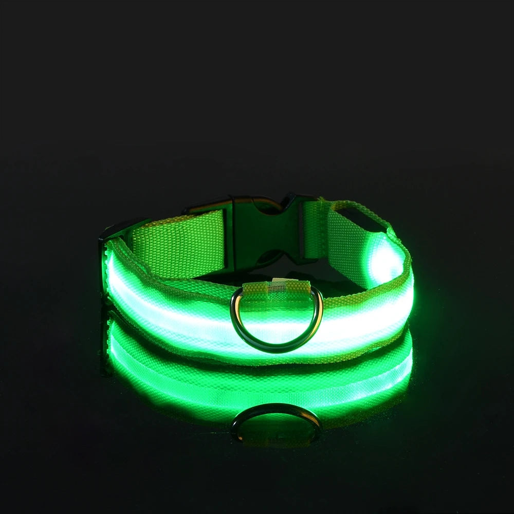 Collar de perro LED para paseos nocturnos