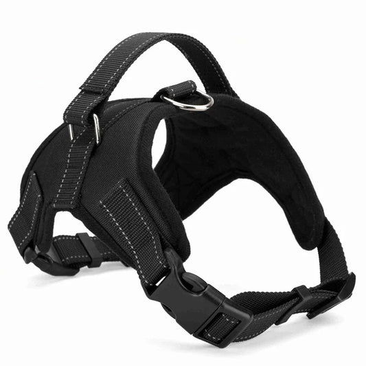 Adjustable Dog Harness – Comfortable, Breathable & Quick-Release