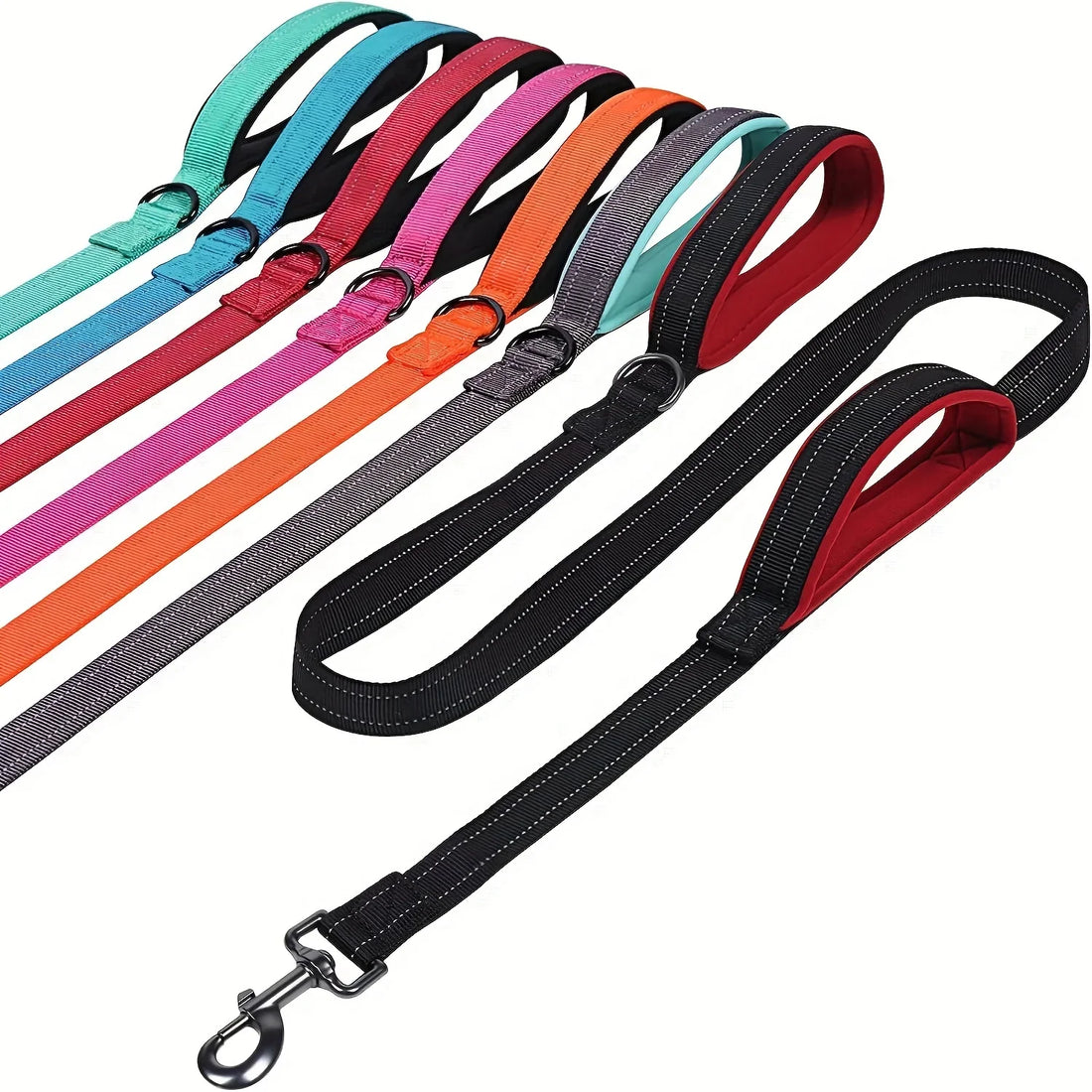 Best Dog Leash for Training and Everyday Walks