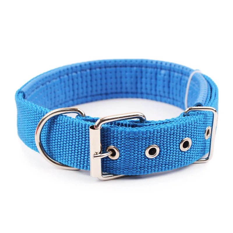 Breakaway Nylon Dog Collar