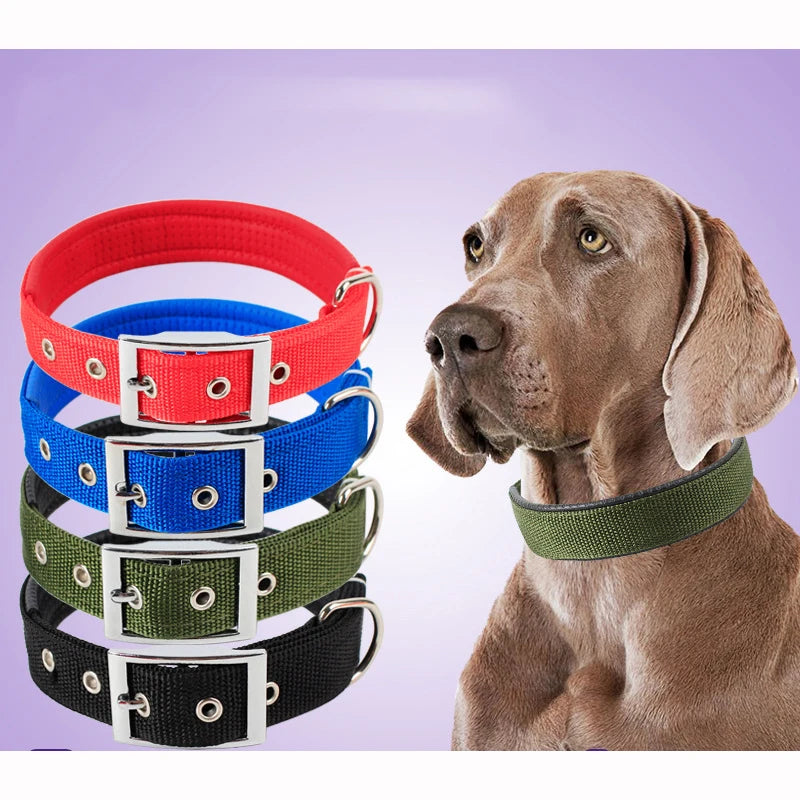 Breakaway Nylon Dog Collar