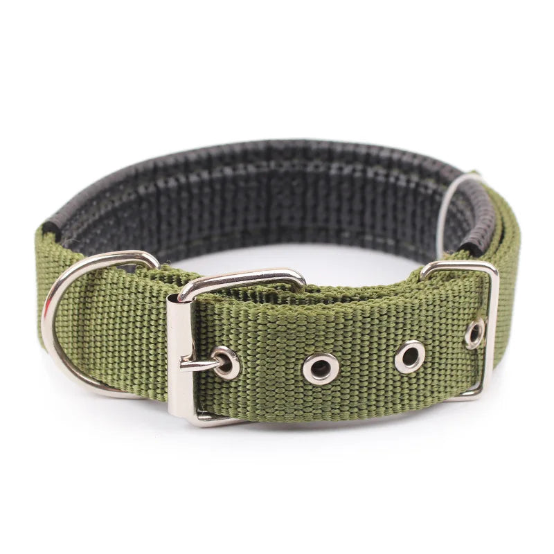 Breakaway Nylon Dog Collar
