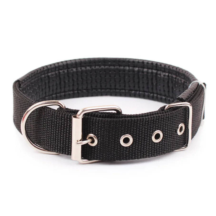 Breakaway Nylon Dog Collar