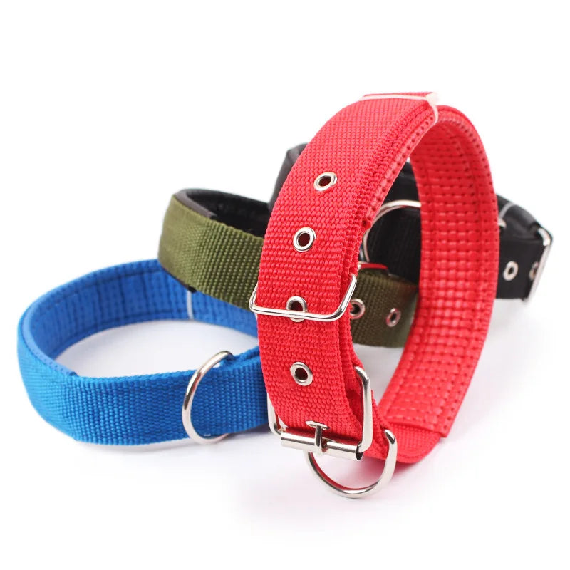 Breakaway Nylon Dog Collar