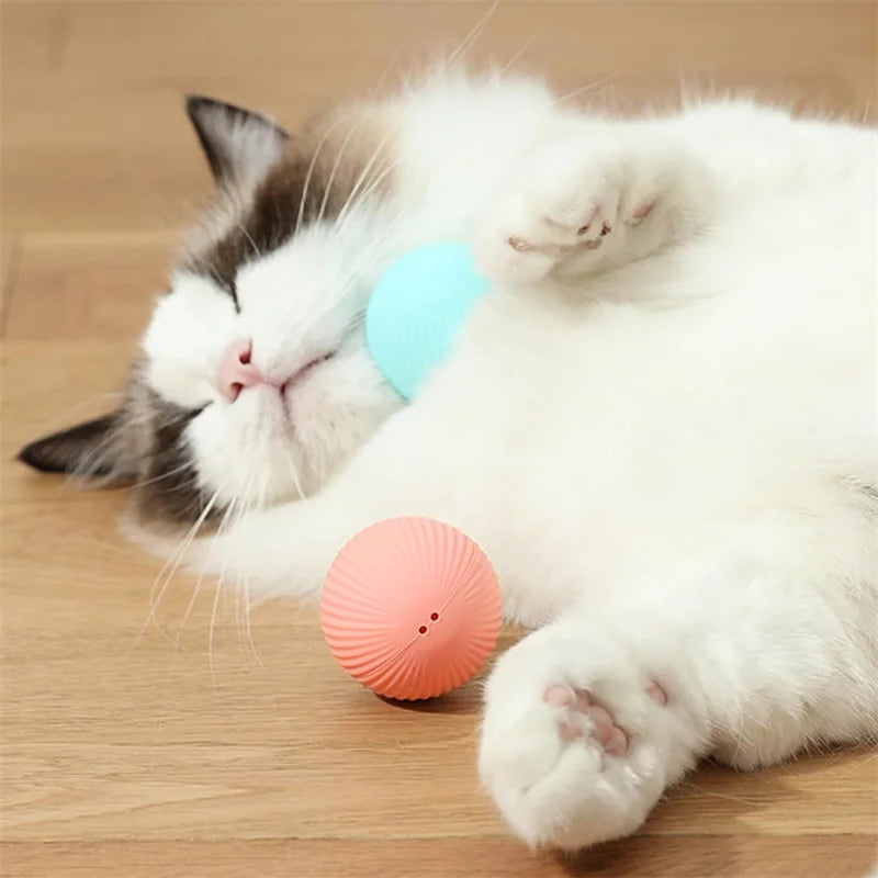 Interactive USB Rechargeable Moving Ball Toy for Dogs & Cats