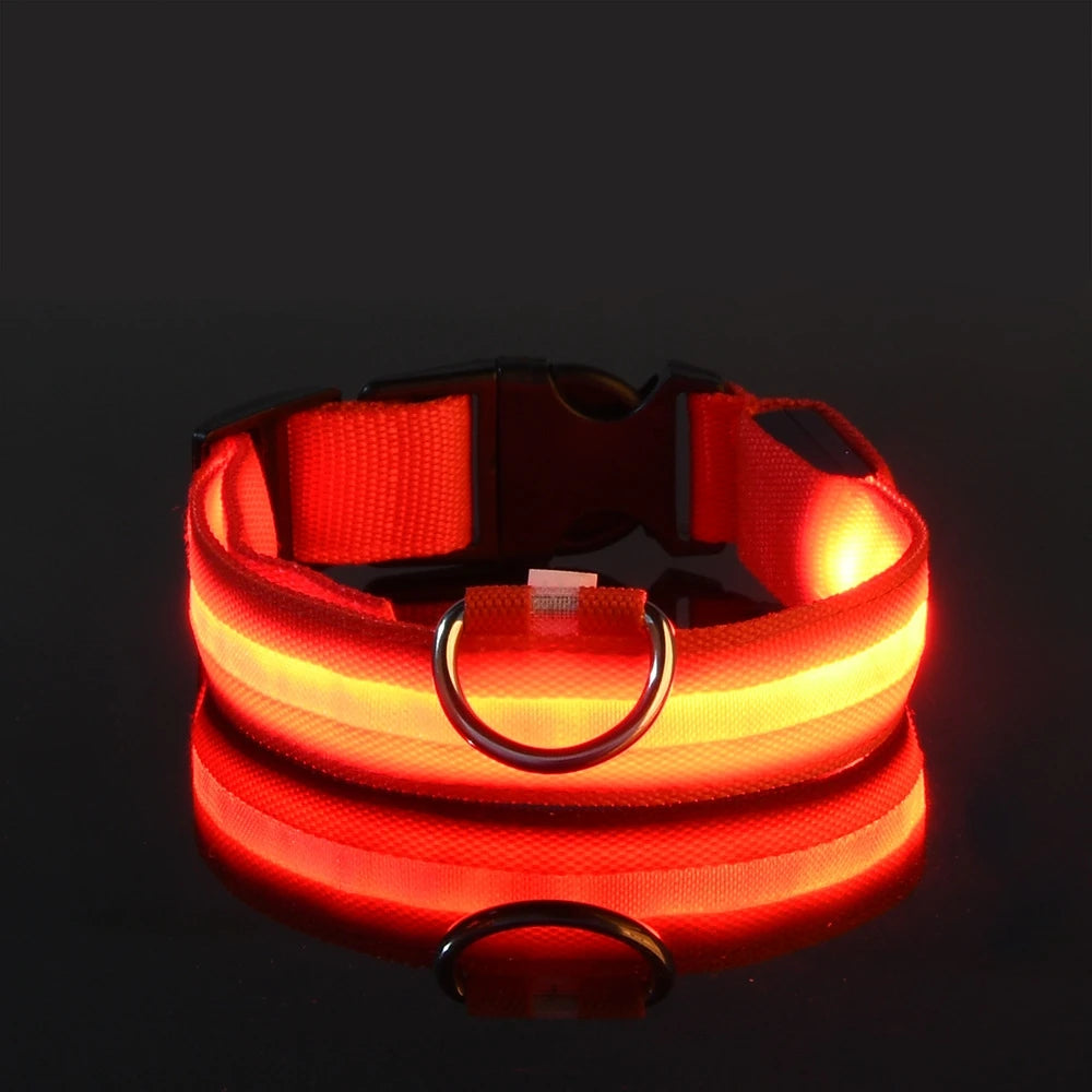 Collar de perro LED para paseos nocturnos