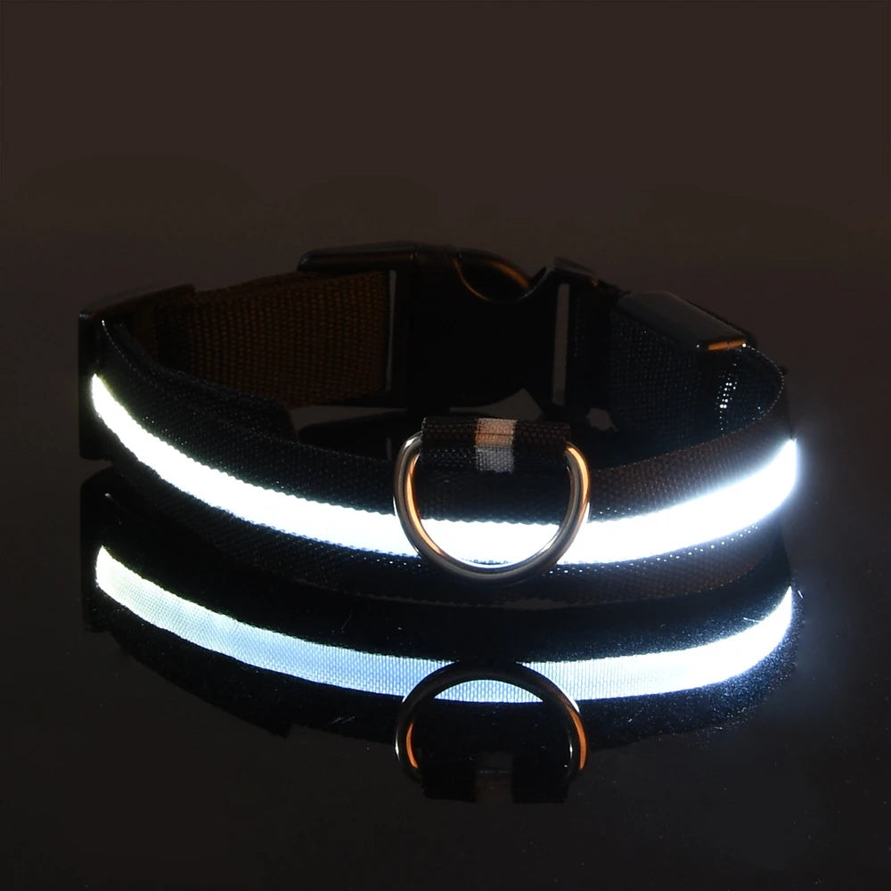 Collar de perro LED para paseos nocturnos