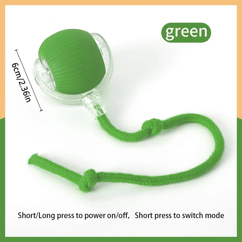 Interactive USB Rechargeable Moving Ball Toy for Dogs & Cats