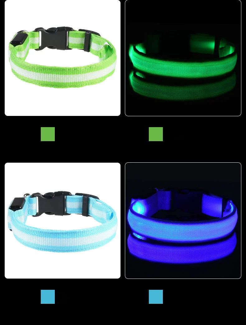 Collar de perro LED para paseos nocturnos