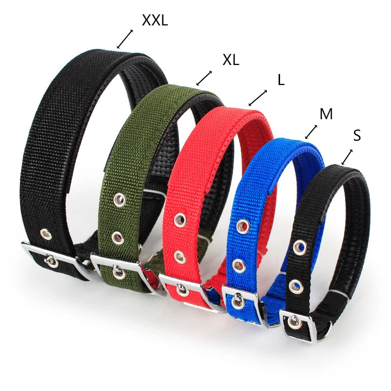 Breakaway Nylon Dog Collar