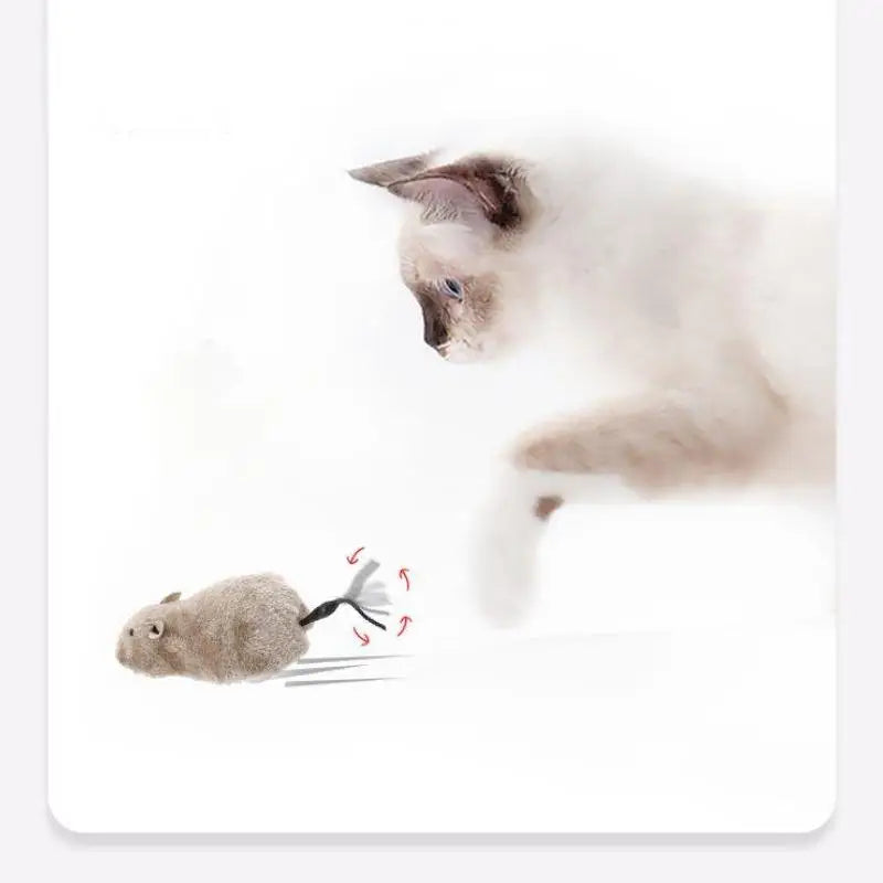 Wind-Up Plush Mouse Toy for Cats – Interactive Chase Play