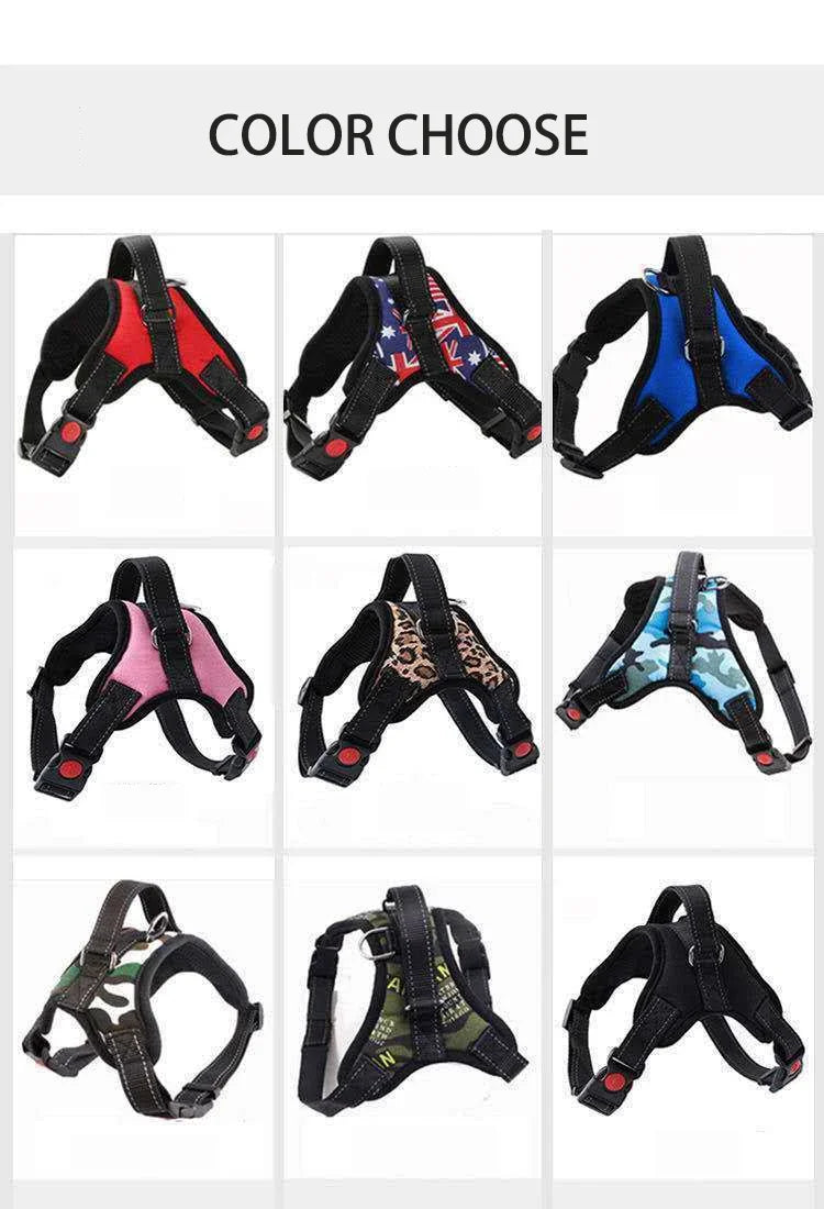 Adjustable Dog Harness – Comfortable, Breathable & Quick-Release