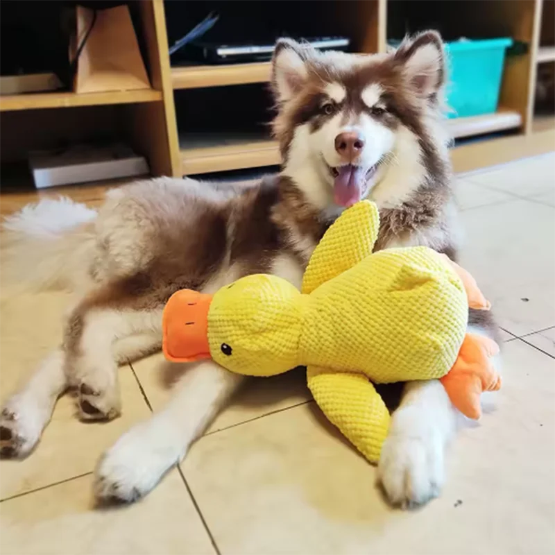 Interactive Duck Plush Toy for Dogs – Cute Squeaky Comfort Toy