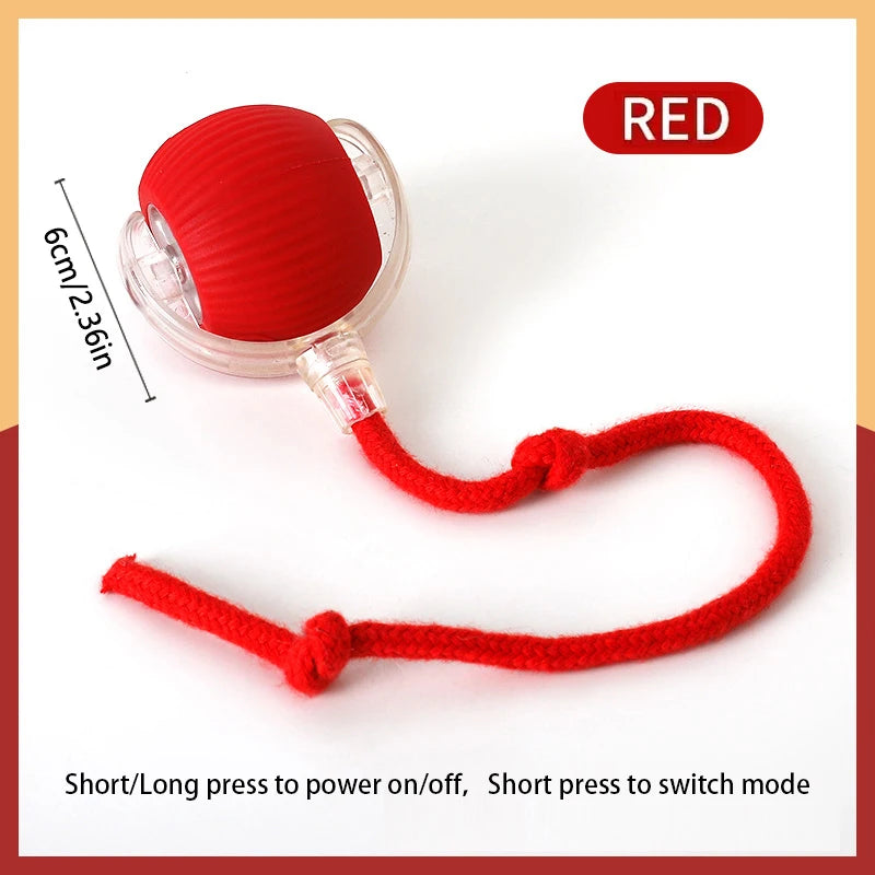 Interactive USB Rechargeable Moving Ball Toy for Dogs & Cats
