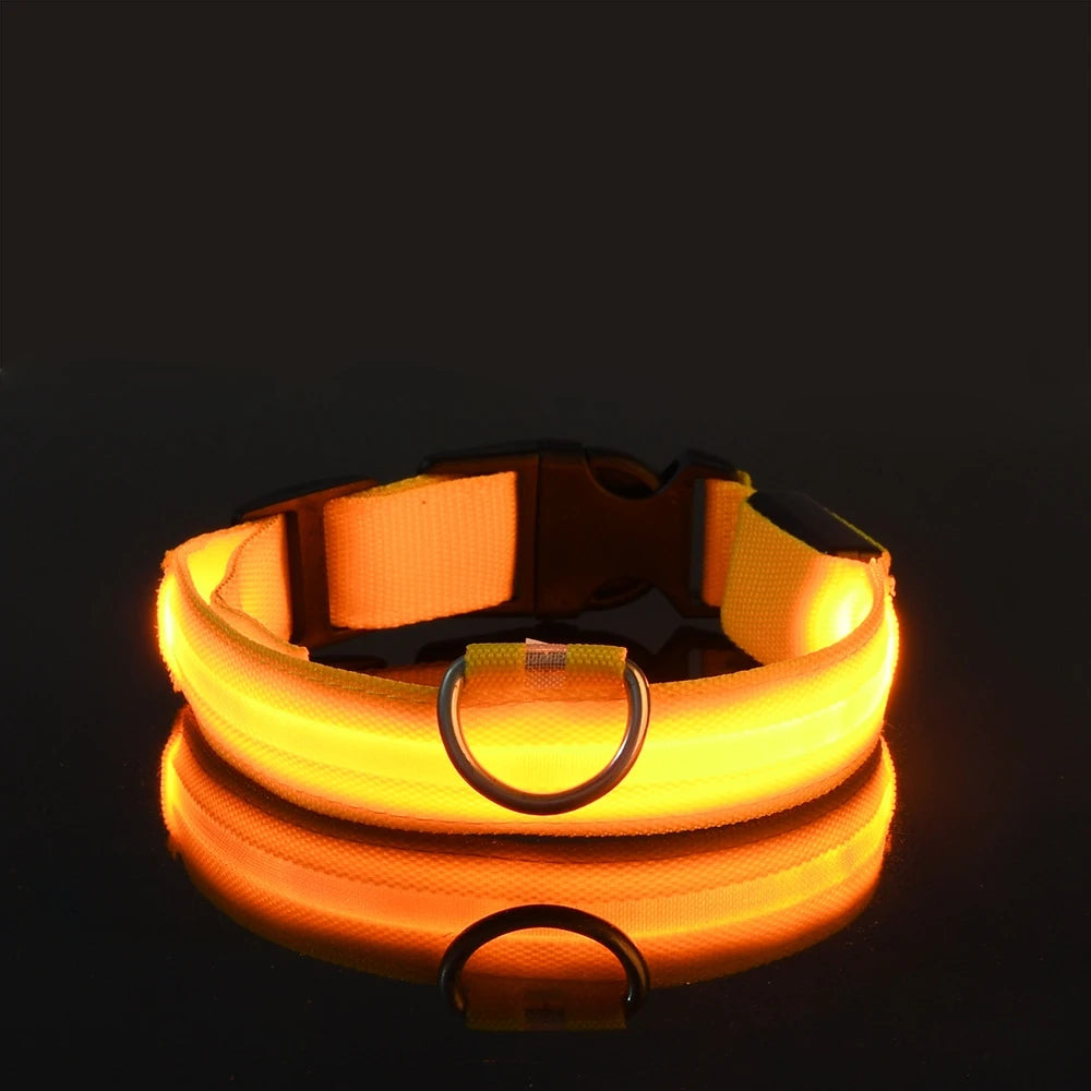 Collar de perro LED para paseos nocturnos