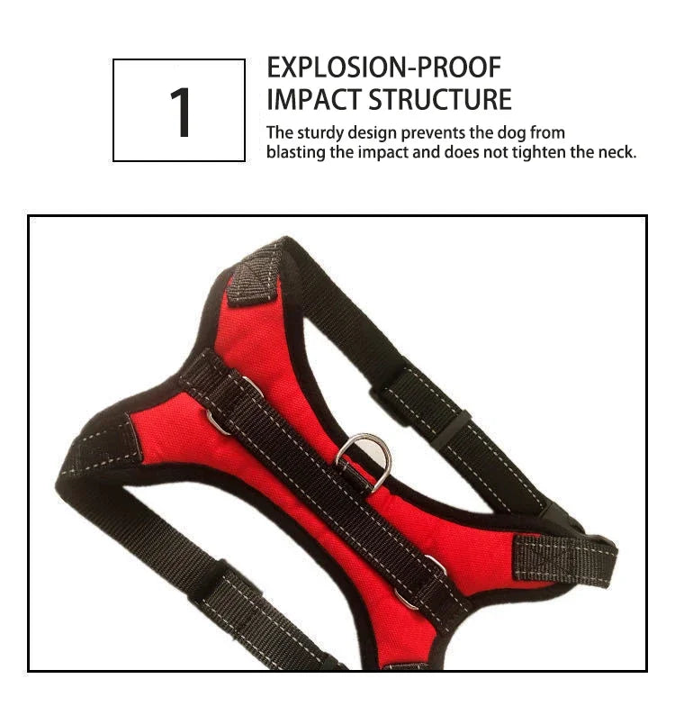 Adjustable Dog Harness – Comfortable, Breathable & Quick-Release