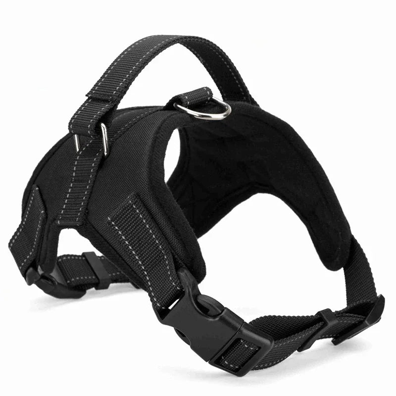 Adjustable Dog Harness – Comfortable, Breathable & Quick-Release