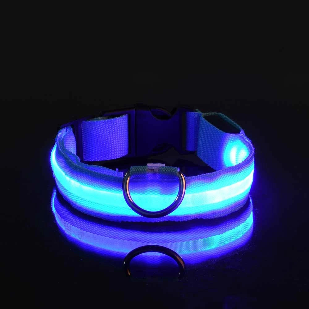 Collar de perro LED para paseos nocturnos