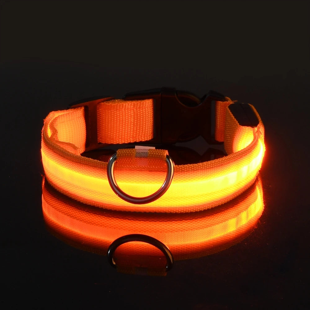 Collar de perro LED para paseos nocturnos