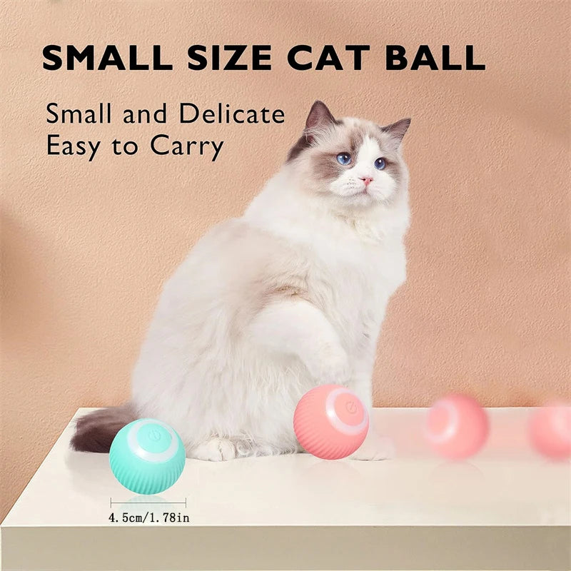 Interactive USB Rechargeable Moving Ball Toy for Dogs & Cats