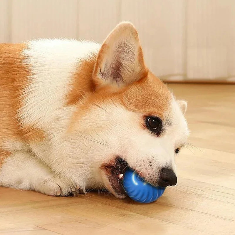 Interactive USB Rechargeable Moving Ball Toy for Dogs & Cats