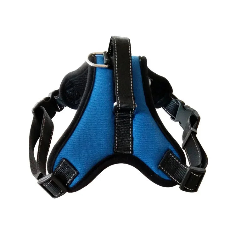Adjustable Dog Harness – Comfortable, Breathable & Quick-Release