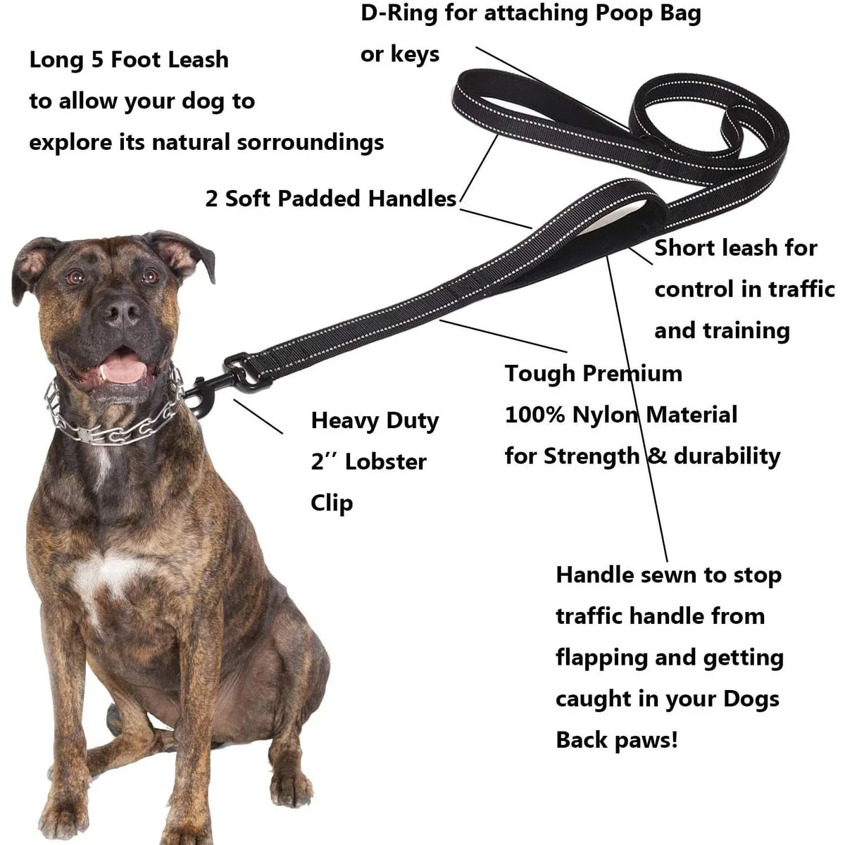 Double-Handle Reflective Dog Leash for Training & Walking