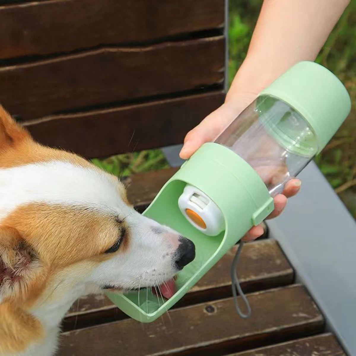Portable Pet Water Bottle with Food Storage – 500ml