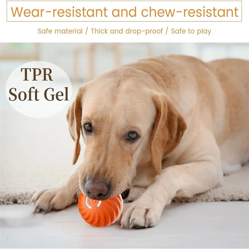 Interactive USB Rechargeable Moving Ball Toy for Dogs & Cats