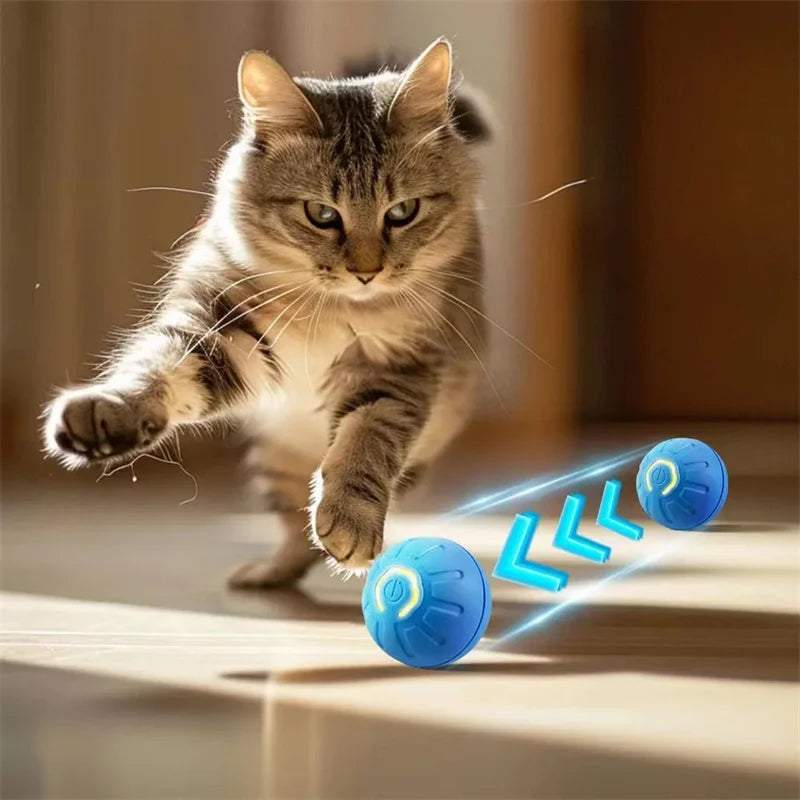 Interactive USB Rechargeable Moving Ball Toy for Dogs & Cats
