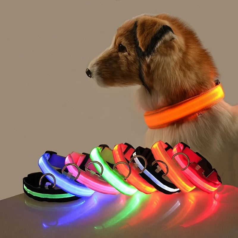 Collar de perro LED para paseos nocturnos