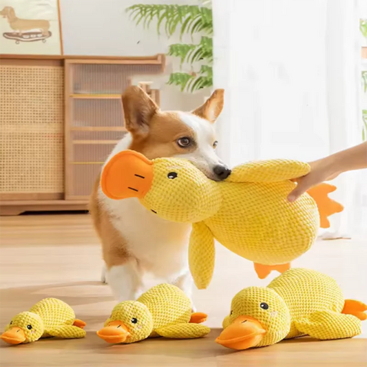 Interactive Duck Plush Toy for Dogs – Cute Squeaky Comfort Toy