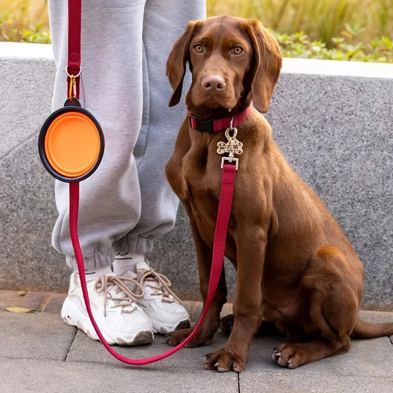 Portable Foldable Pet Travel Bowl