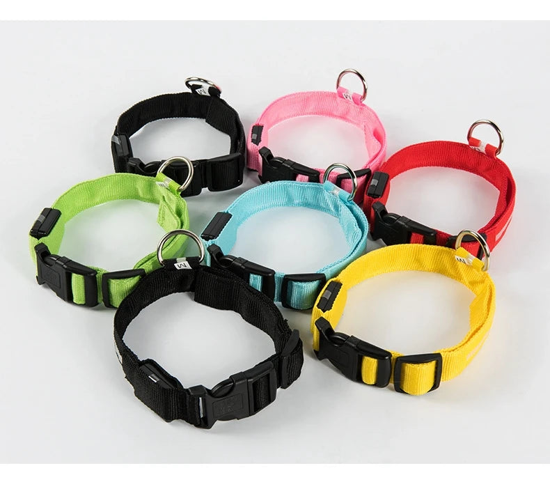Collar de perro LED para paseos nocturnos