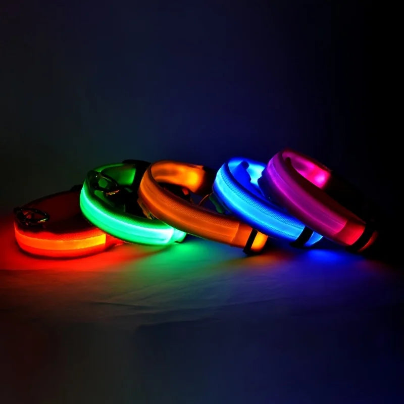 Collar de perro LED para paseos nocturnos