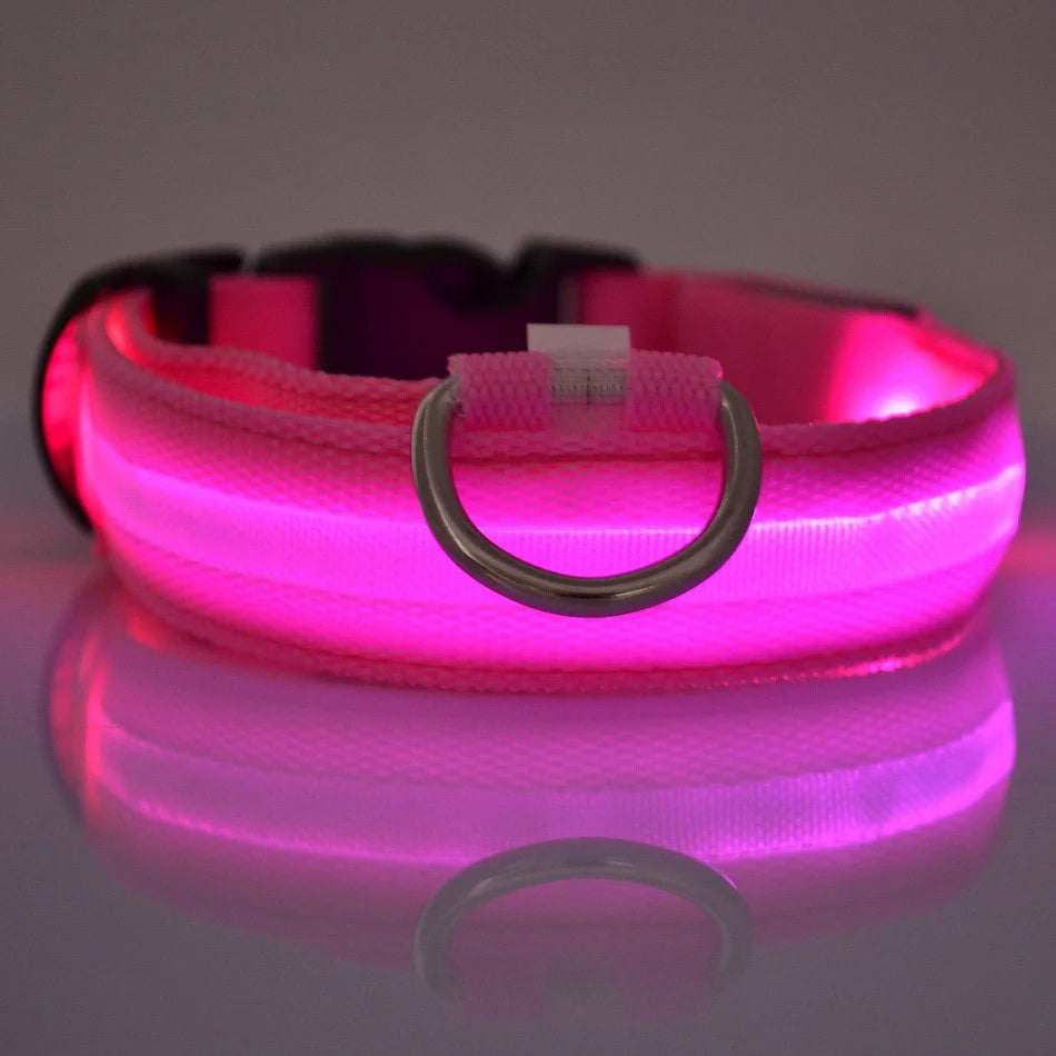 Collar de perro LED para paseos nocturnos