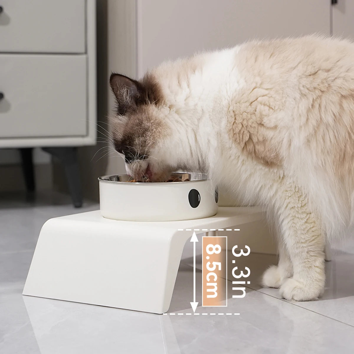 Double Elevated Dog Feeder | Stainless Steel