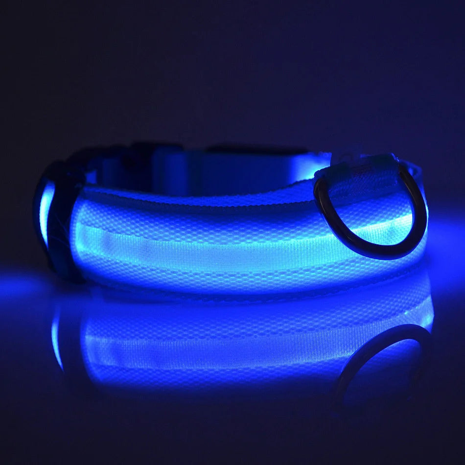 Collar de perro LED para paseos nocturnos