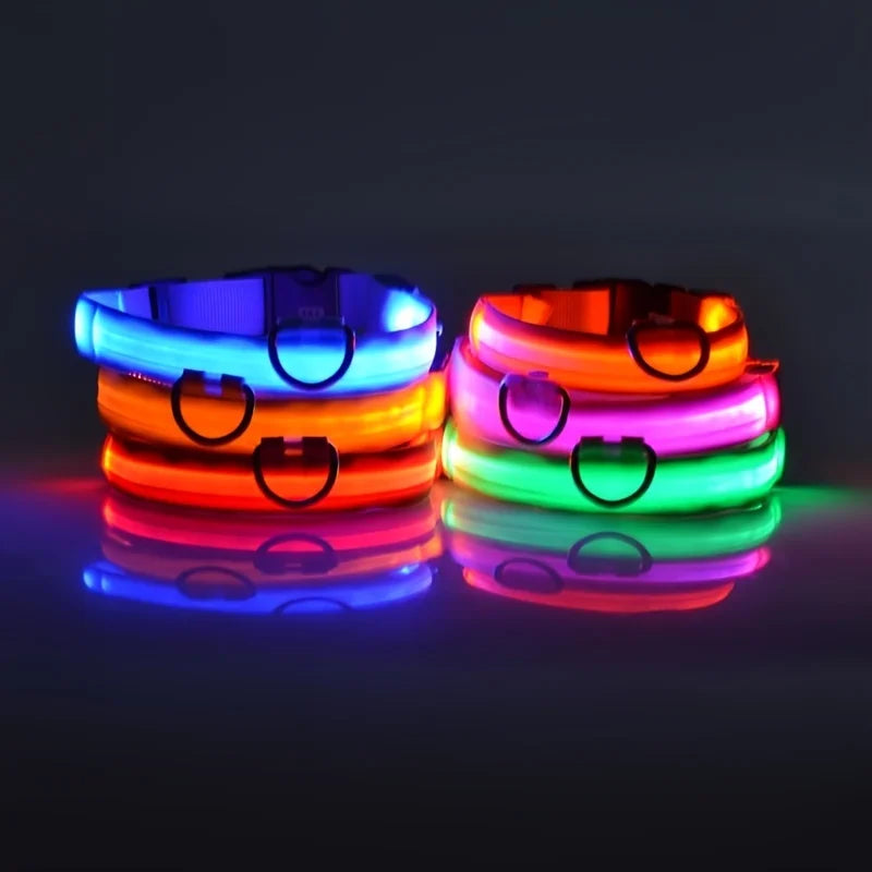 Collar de perro LED para paseos nocturnos