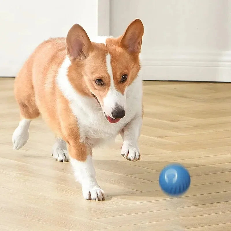 Interactive USB Rechargeable Moving Ball Toy for Dogs & Cats