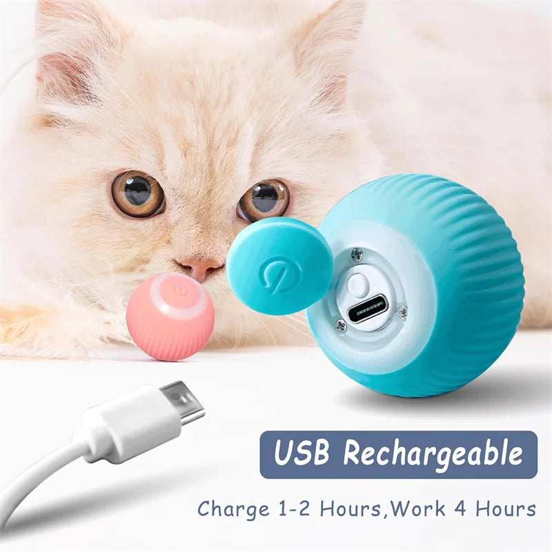 Interactive USB Rechargeable Moving Ball Toy for Dogs & Cats