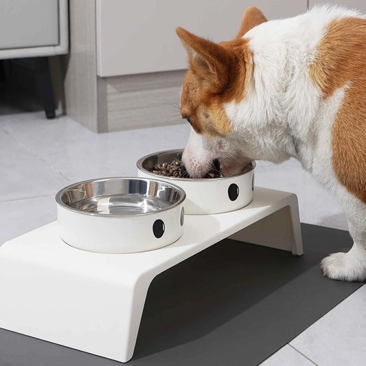 Double Elevated Dog Feeder | Stainless Steel