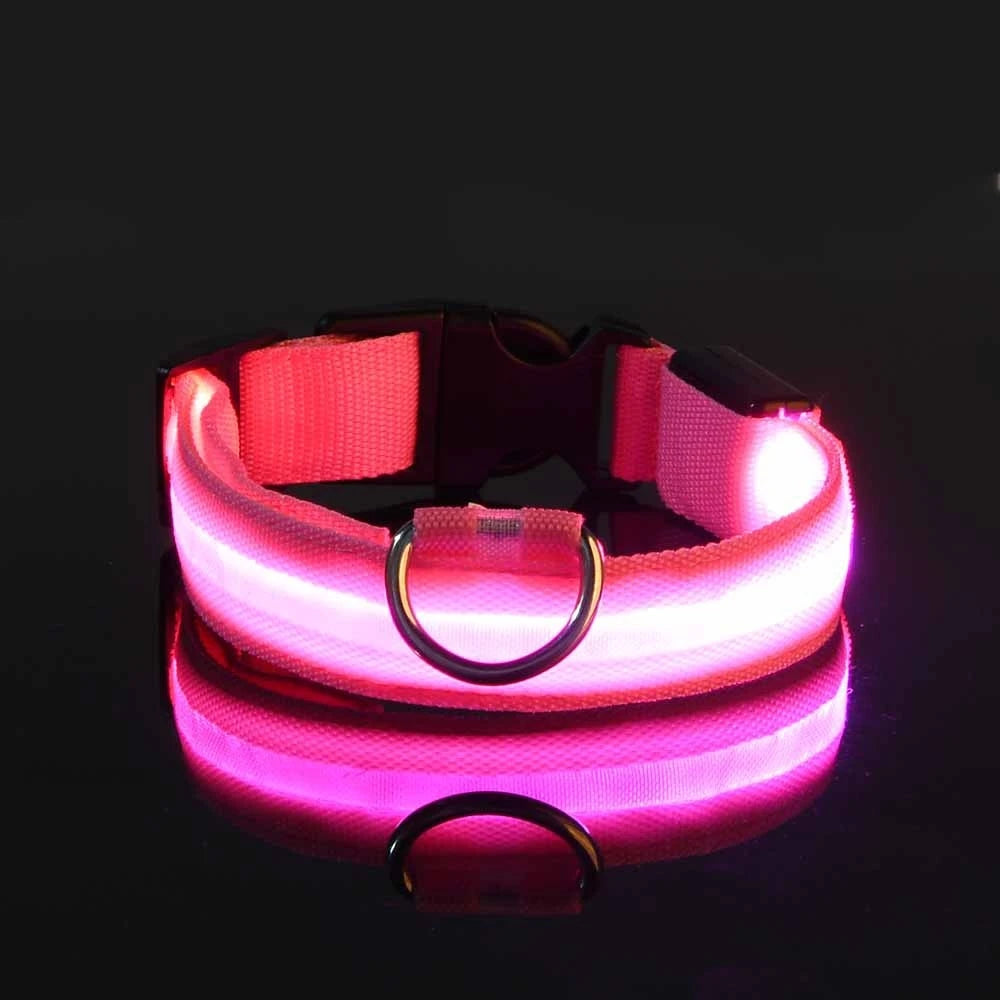 Collar de perro LED para paseos nocturnos