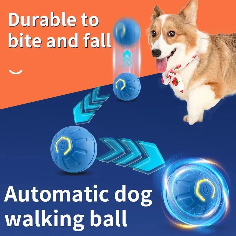 Interactive USB Rechargeable Moving Ball Toy for Dogs & Cats