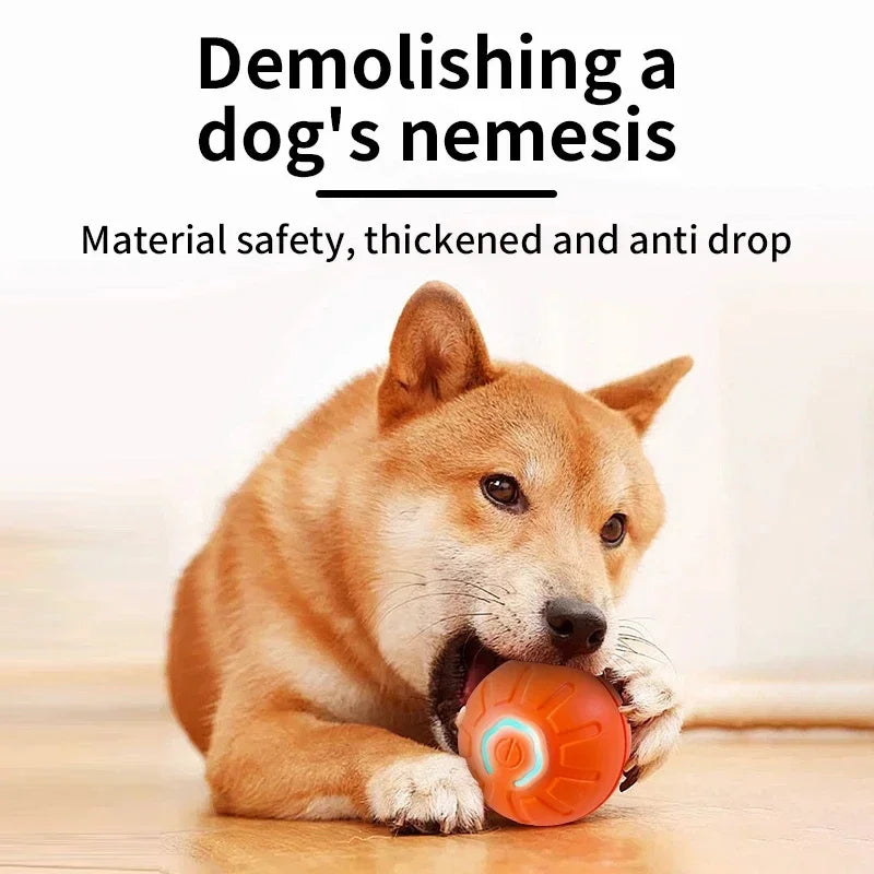 Interactive USB Rechargeable Moving Ball Toy for Dogs & Cats