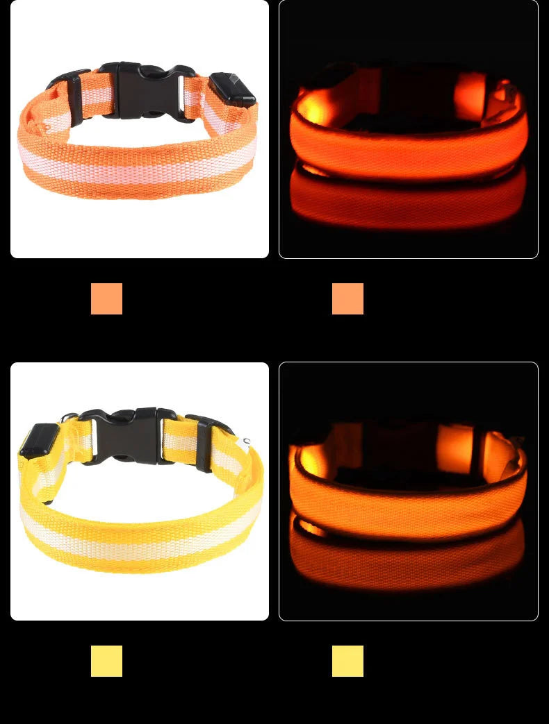 Collar de perro LED para paseos nocturnos