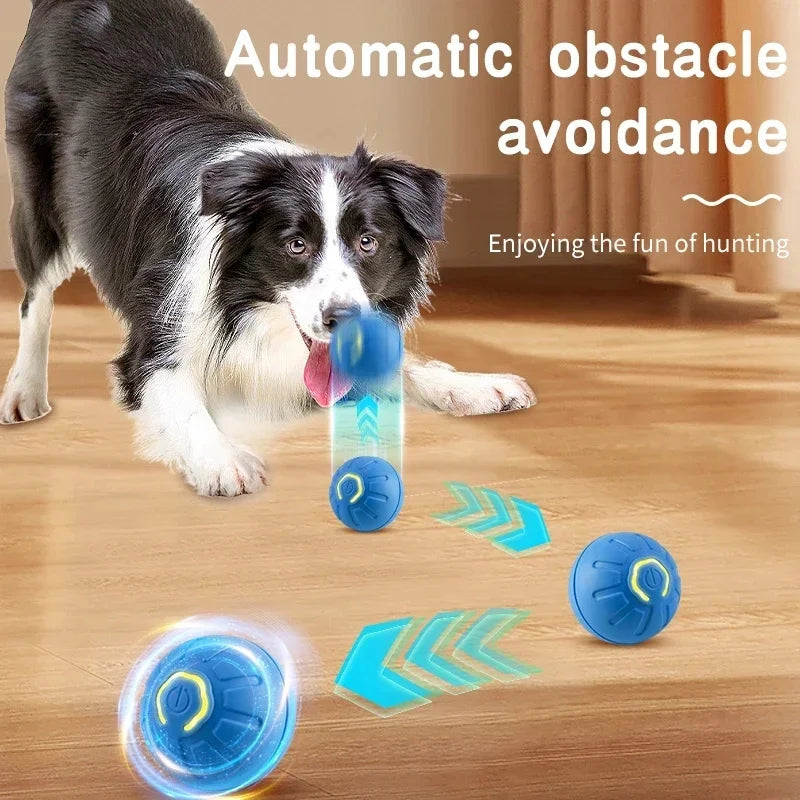 Interactive USB Rechargeable Moving Ball Toy for Dogs & Cats