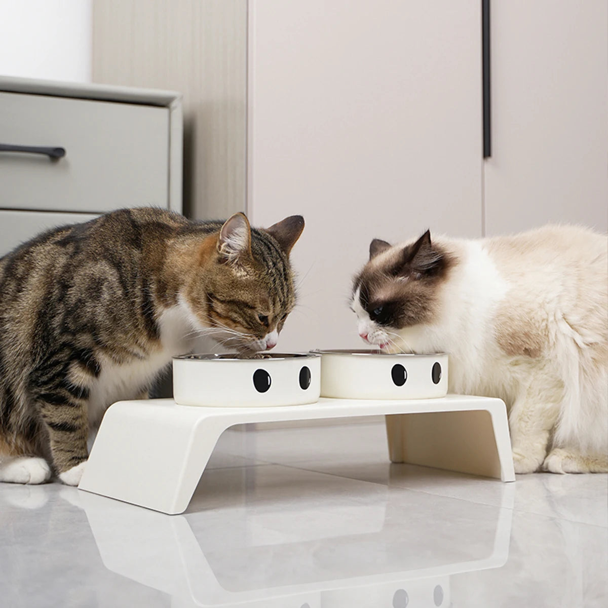 Double Elevated Dog Feeder | Stainless Steel