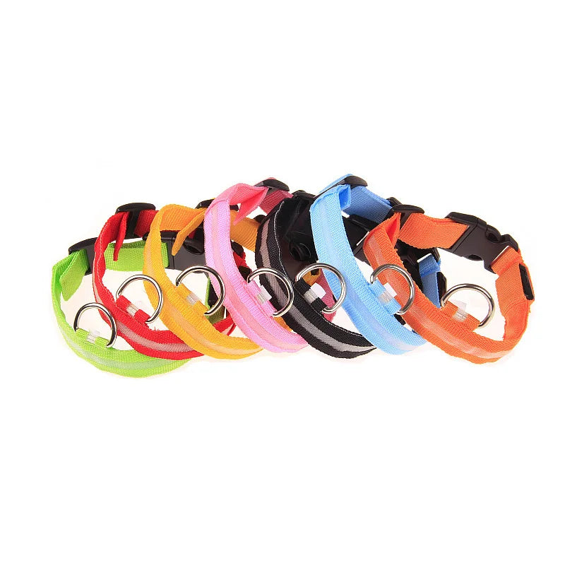 Collar de perro LED para paseos nocturnos
