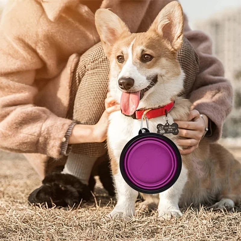 Portable Foldable Pet Travel Bowl